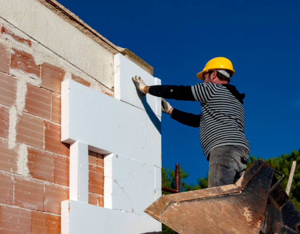 Best Residential Insulation in Wayne, MI