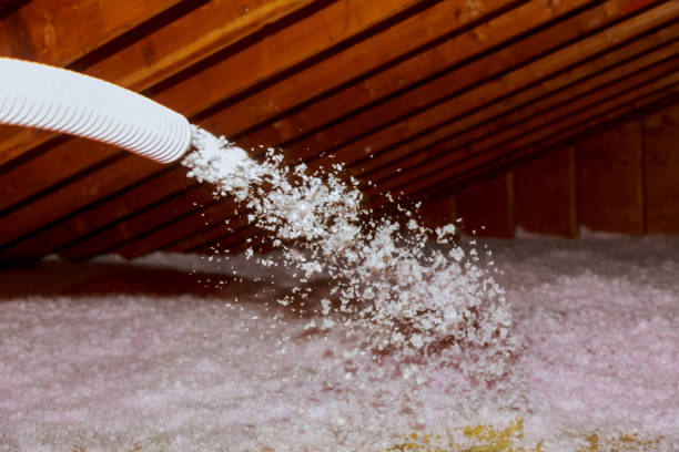 Best Geographic-Specific Insulation Services in Wayne, MI