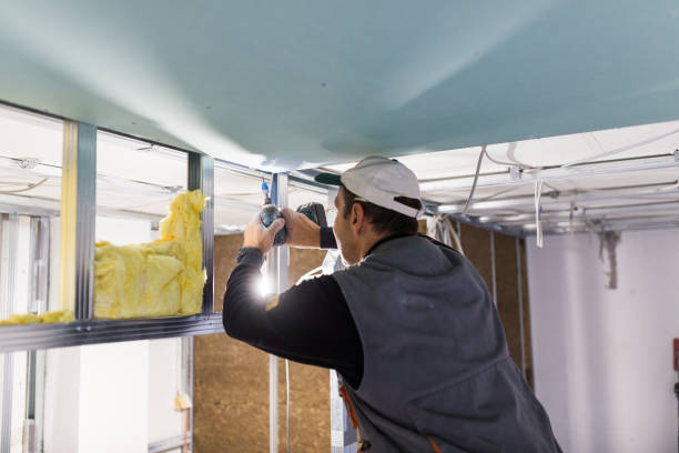 Best Commercial Insulation in Wayne, MI
