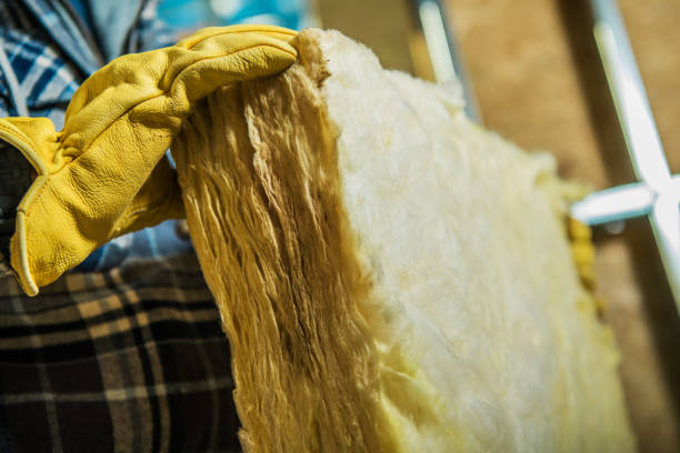 Best Insulation Maintenance and Repair in Wayne, MI