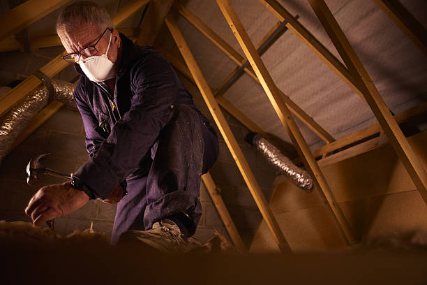 Reliable Wayne, MI Insulation Contractor Solutions